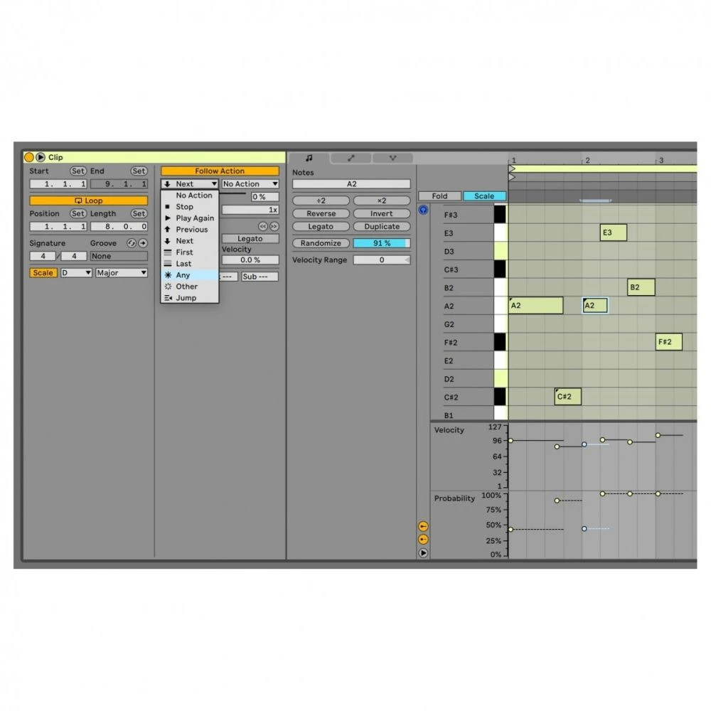 Ableton Live 11 Intro Digital Download