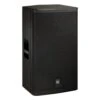 Electro-Voice ELX115P 15 Inch Live X 2 Way Powered Loudspeaker