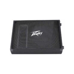 Peavey PV 15M 2-Way PA Floor Monitor