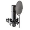 SE Electronics SE2200 Condenser Microphone