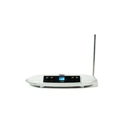 Moog Theremini Theremin Synthesizer